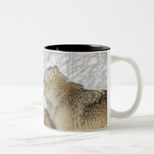 Pack of wolves interacting Two-Tone coffee mug