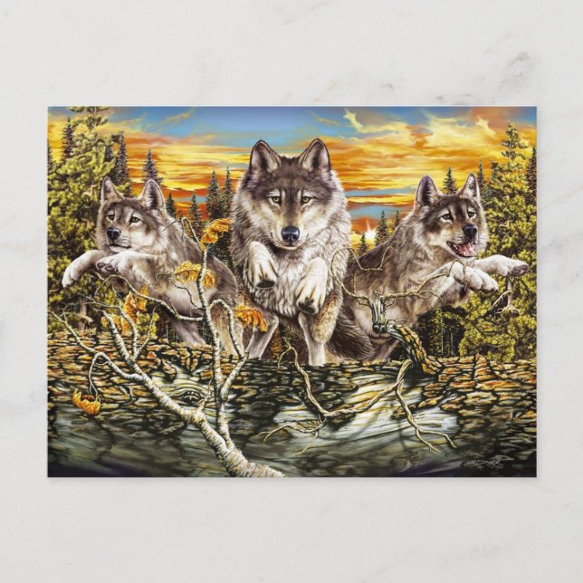 Pack of wolves jumping over a log postcard (Front)