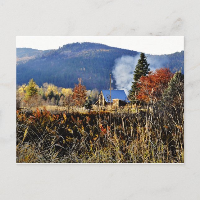 Pack River area near Sandpoint, Idaho. Postcard (Front)