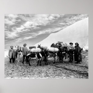 Pack Team Heading to the Klondike Gold Fields 1897 Poster