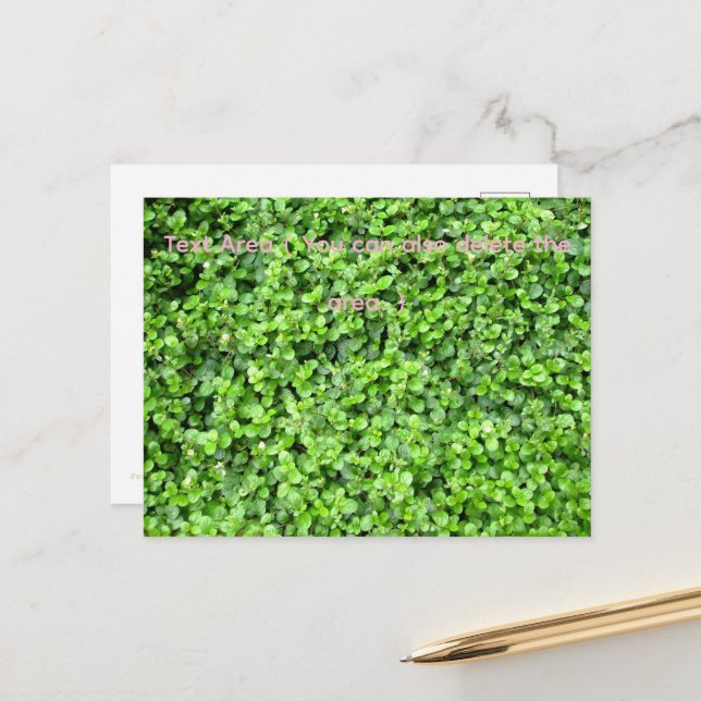 Packed with greenery postcard (Front/Back In Situ)