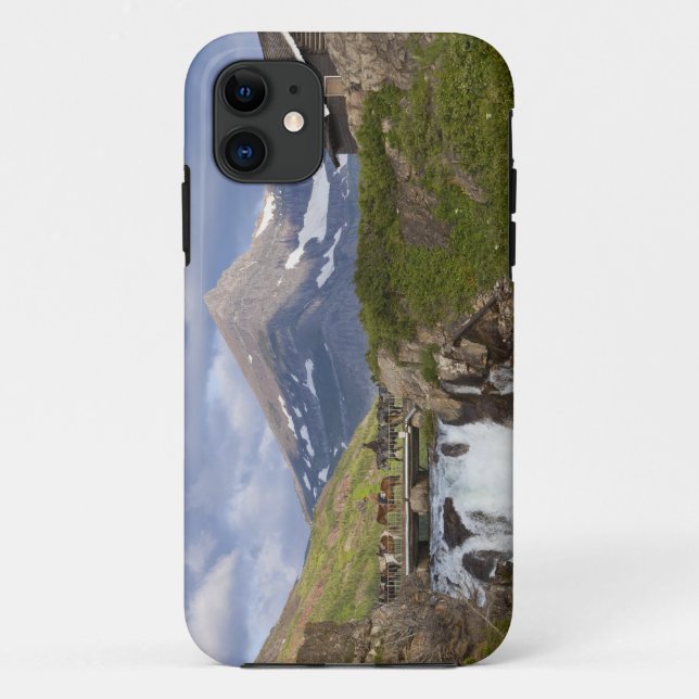Packers lead string of horses over bridge above Case-Mate iPhone case (Back)