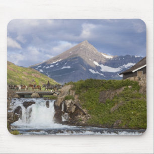 Packers lead string of horses over bridge above mouse mat