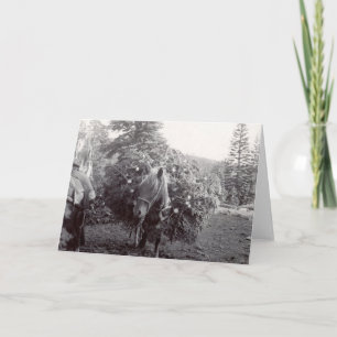 Packing Out Christmas Holiday Card