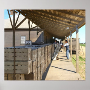 Packing Shed For Shipping Oranges Ontario CA 1915- Poster