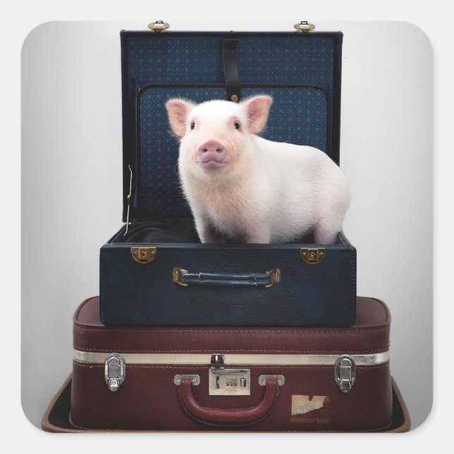 Packing Up Piggy Stickers (Front)