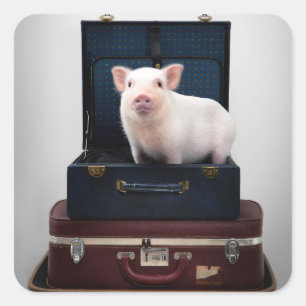 Packing Up Piggy Stickers