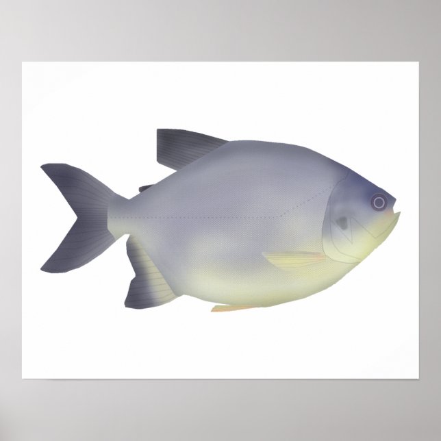 Pacu caranha  poster (Front)