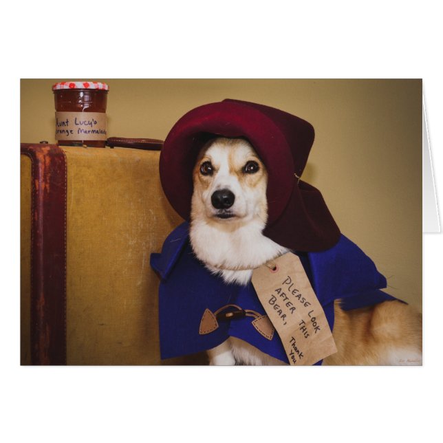 Paddington Corgi Blank Card (Front Horizontal)
