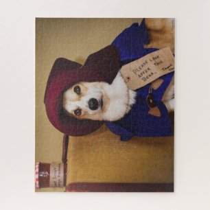 Paddington Corgi Jigsaw Puzzle- 500 Jigsaw Puzzle