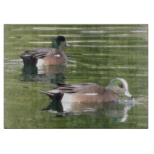 Paddling Ducks