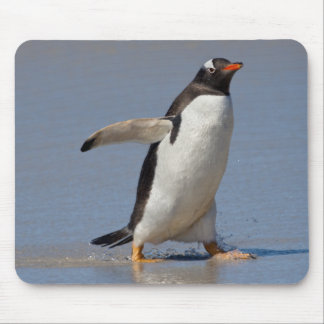 Paddling Gentoo Mousemat