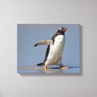 Paddling Gentoo Wrapped Canvas