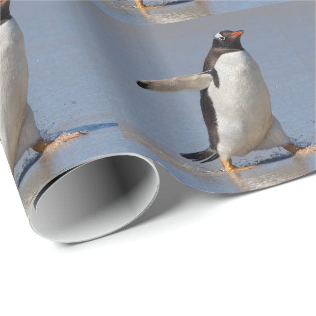 Paddling Gentoo Wrapping Paper (Roll Corner)