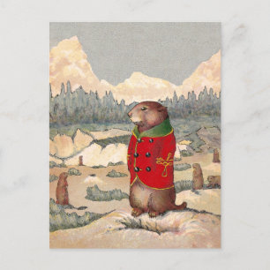 Paddy Paws in Prairie Dog Town Postcard