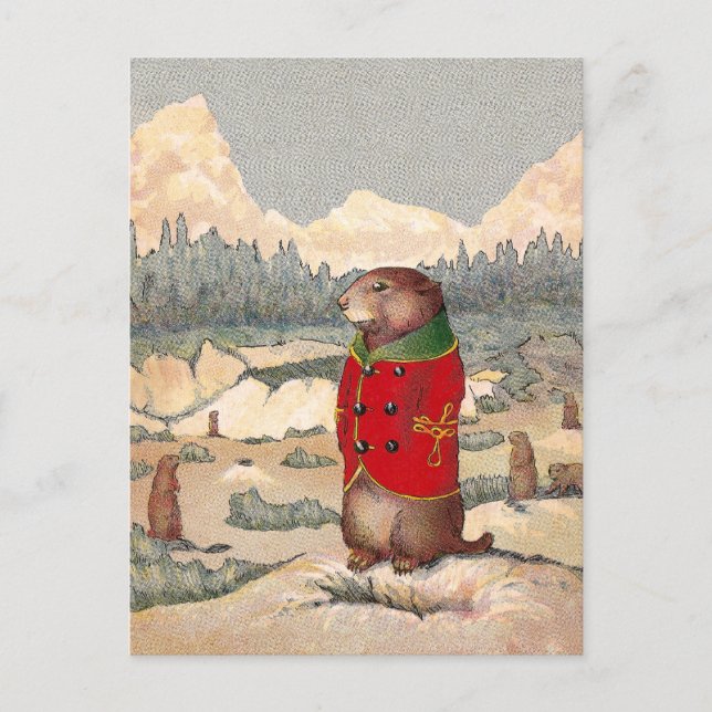 Paddy Paws in Prairie Dog Town Postcard (Front)