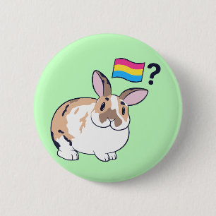 Paddy Pride Badge (Pansexual)
