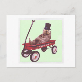 paddywagon postcard