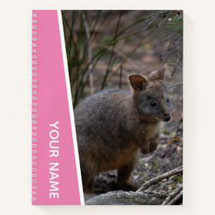 Pademelon, Australia, Cute Animal, Pink Notebook
