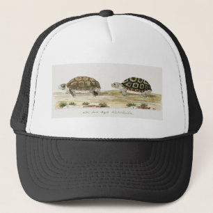 Padloper Tortoise Trucker Hat