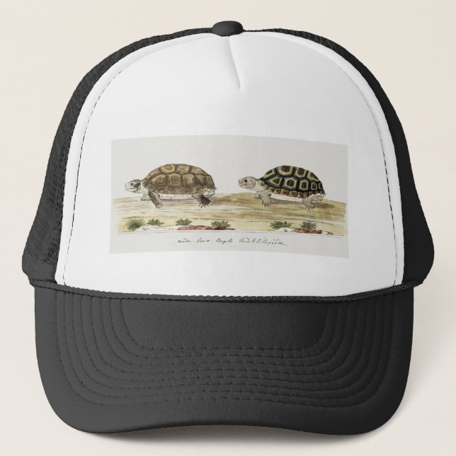 Padloper Tortoise Trucker Hat (Front)