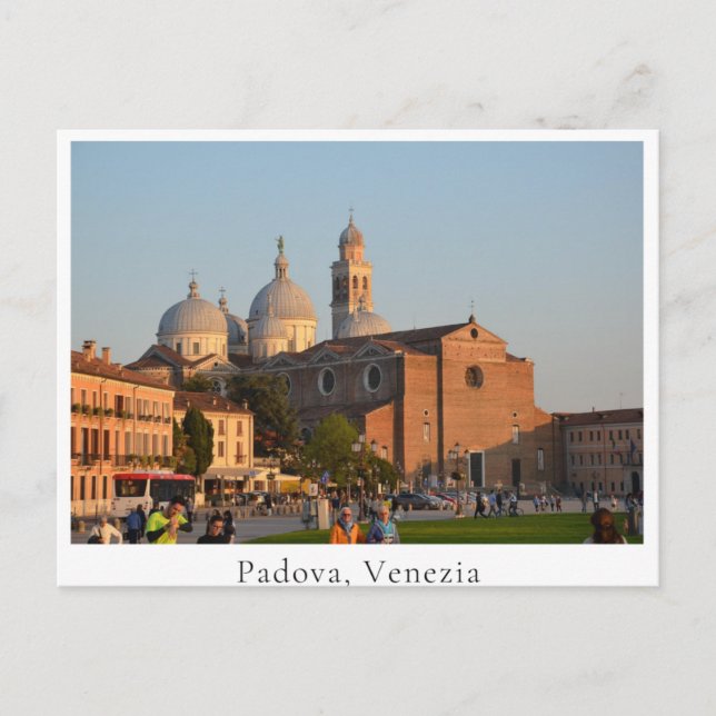 Padova Cathedral (Padova, Venezia) Postcard (Front)