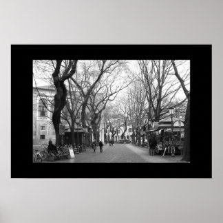 Padova, Italy Poster