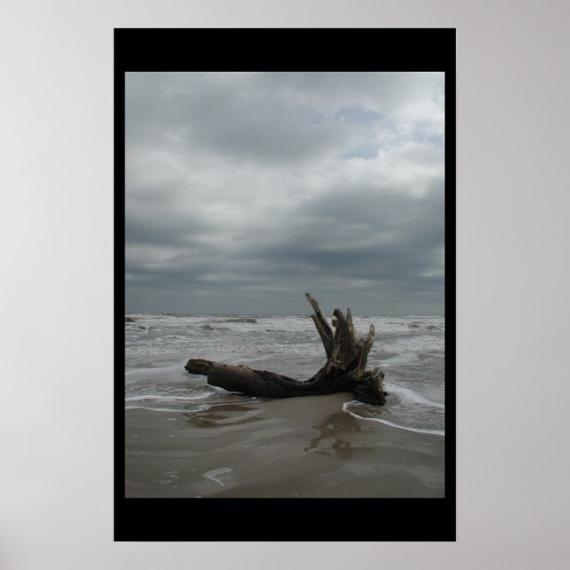 Padre Island - January 2004 Poster (Front)