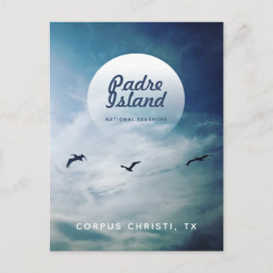 Padre Island National Seashore Brown Pelicans Postcard