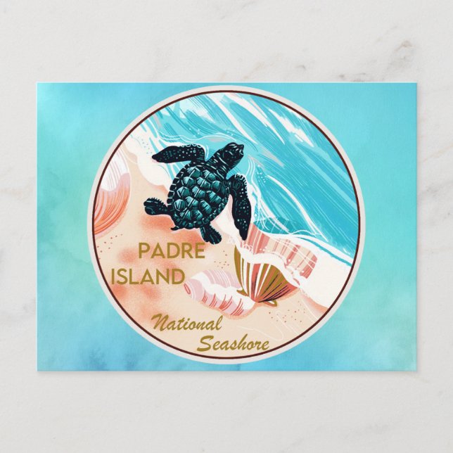 Padre Island National Seashore Postcard (Front)