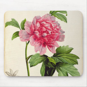 Paeonia Moutan, c.1799 Mouse Mat