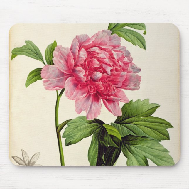 Paeonia Moutan, c.1799 Mouse Mat (Front)