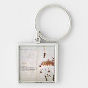 Page 15 from a Herbarium Key Ring