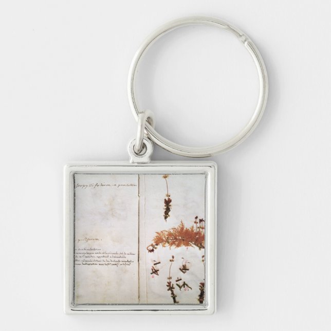 Page 15 from a Herbarium Key Ring (Front)