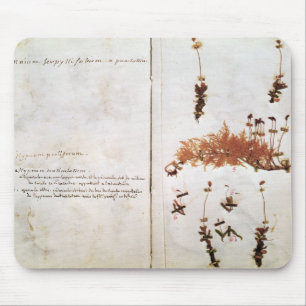 Page 15 from a Herbarium Mouse Mat