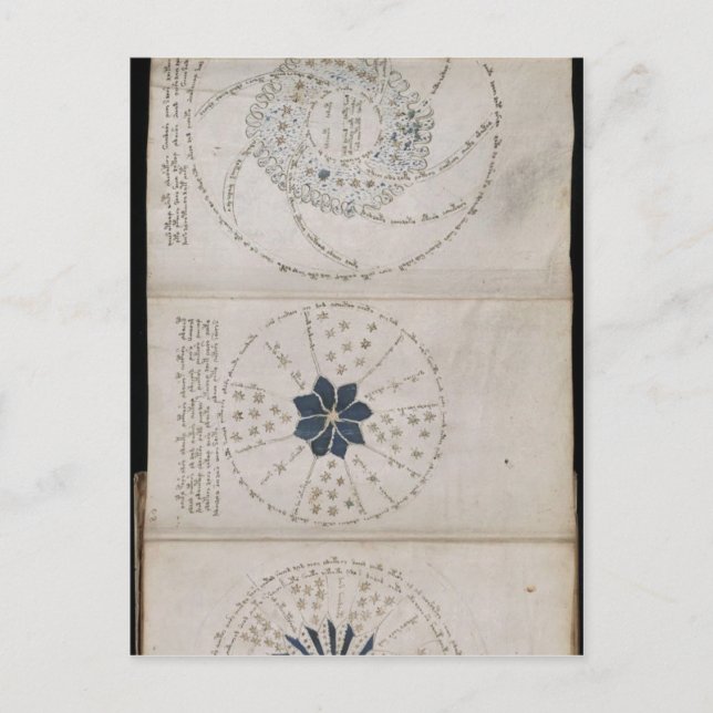 Page 68r of the Voynich manuscript. This three-pag Postcard (Front)