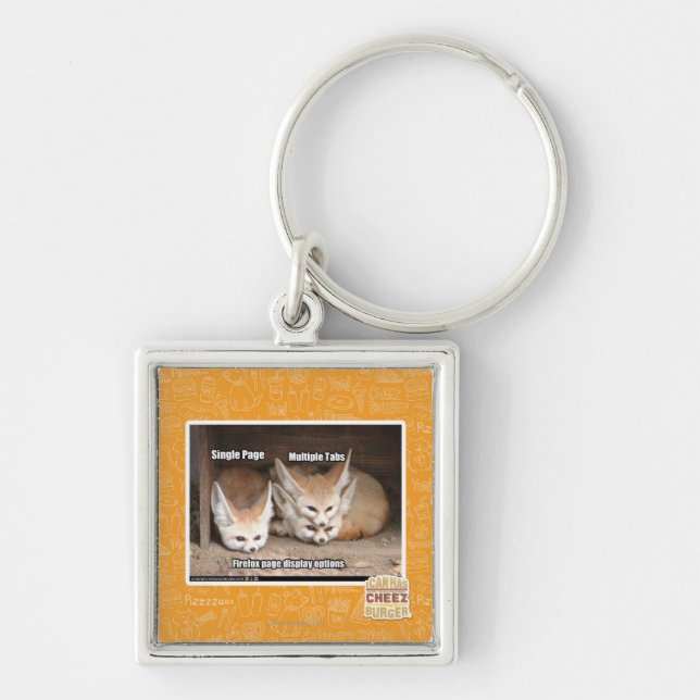 Page display options key ring (Front)