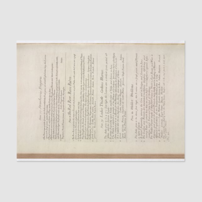 Page from a Curious Herbal by Elizabeth Blackwell Tissue Paper (Front)