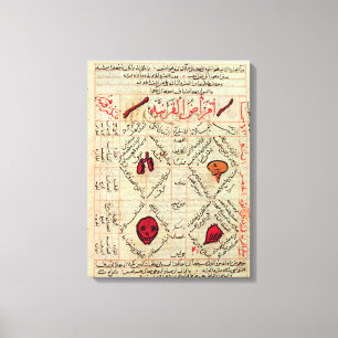 Page from the 'Canon of Medicine' by Avicenna Canvas Print