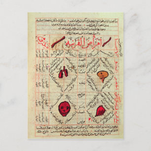 Page from the 'Canon of Medicine' by Avicenna Postcard