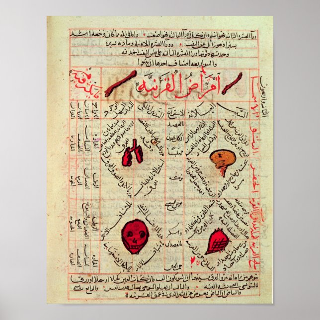 Page from the 'Canon of Medicine' by Avicenna Poster (Front)