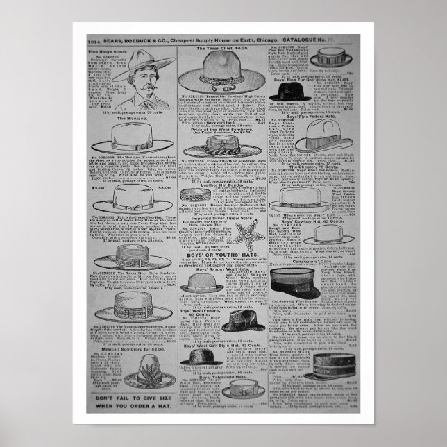 Pages from Sears, Roebuck of Chicago, catalog of Poster (Front)