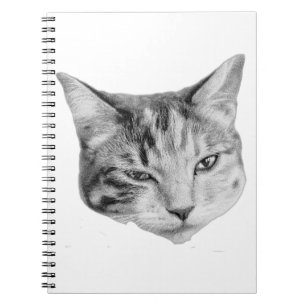 Pages of Mischief Notebook