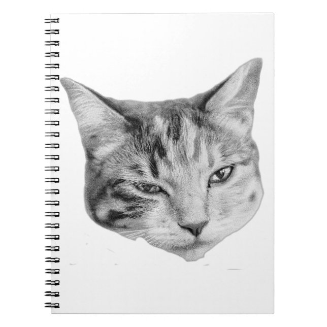 Pages of Mischief Notebook (Front)