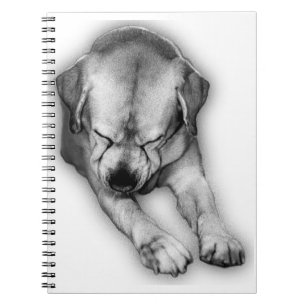 Pages of Reflection Notebook