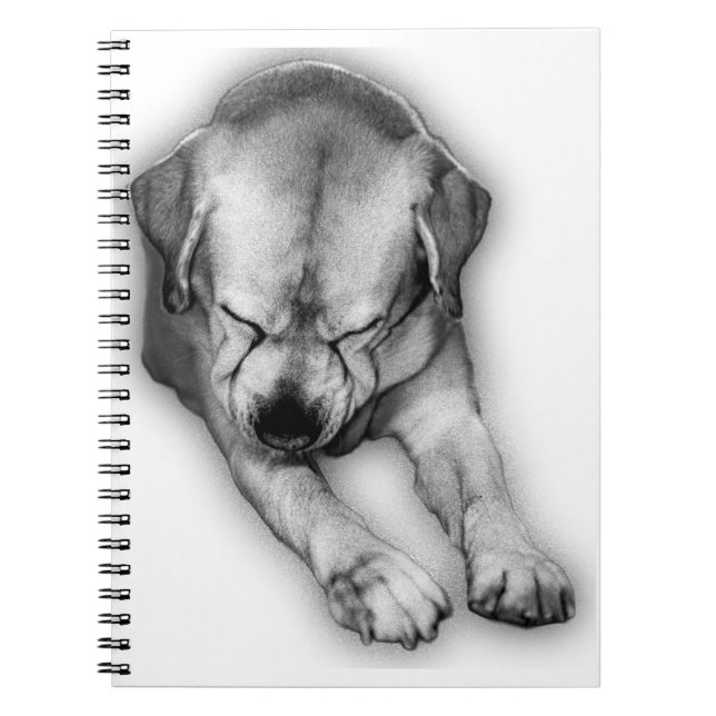 Pages of Reflection Notebook (Front)