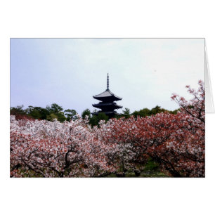 Pagoda and cherry trees