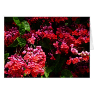 Pagoda Flowers Colourful Red and Pink