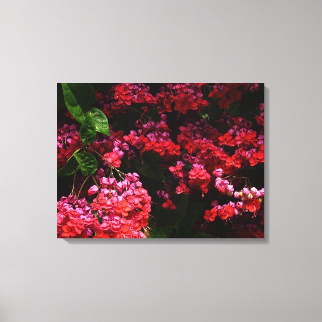 Pagoda Flowers Colourful Red and Pink Canvas Print (Front)