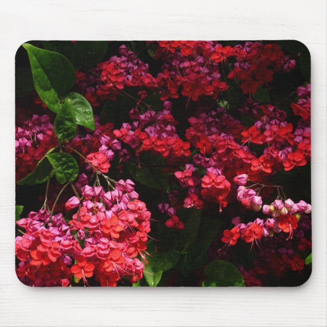 Pagoda Flowers Colourful Red and Pink Mouse Mat (Front)